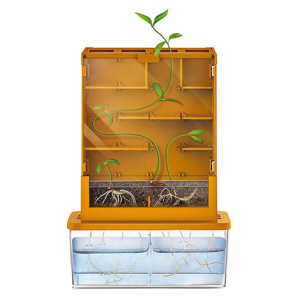 Green Science Grow-A-Maze