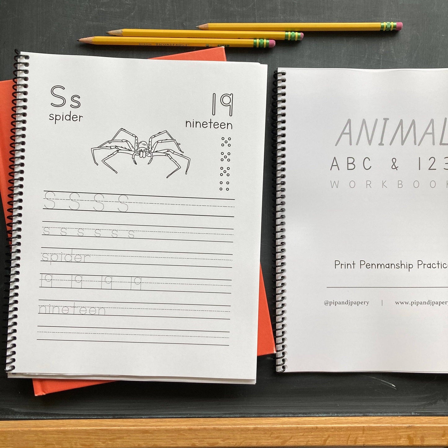 Animal ABC + 123 Workbook