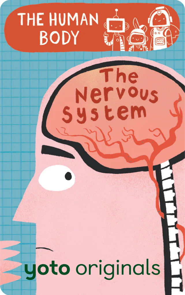 BrainBots: The Human Body