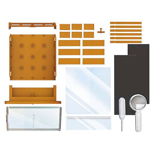 Green Science Grow-A-Maze