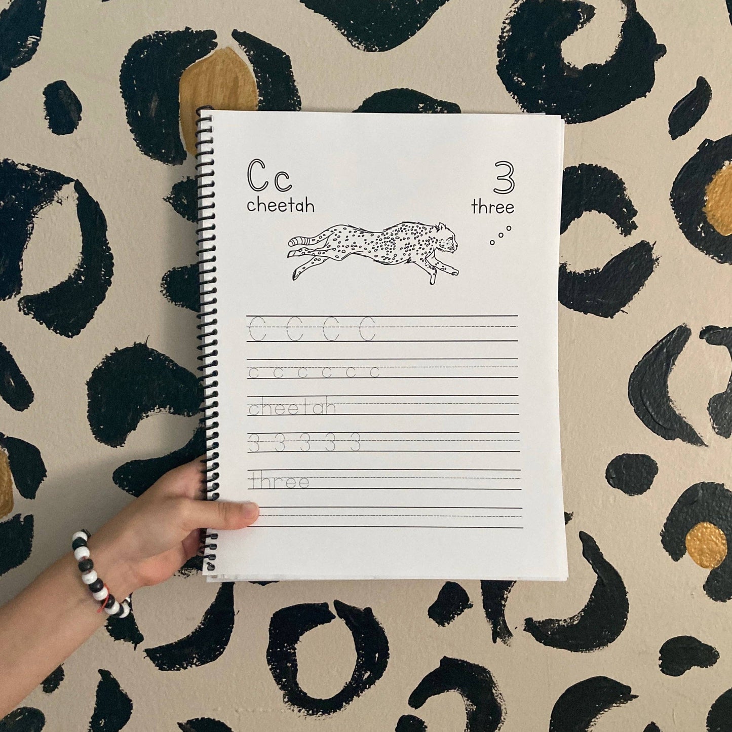 Animal ABC + 123 Workbook