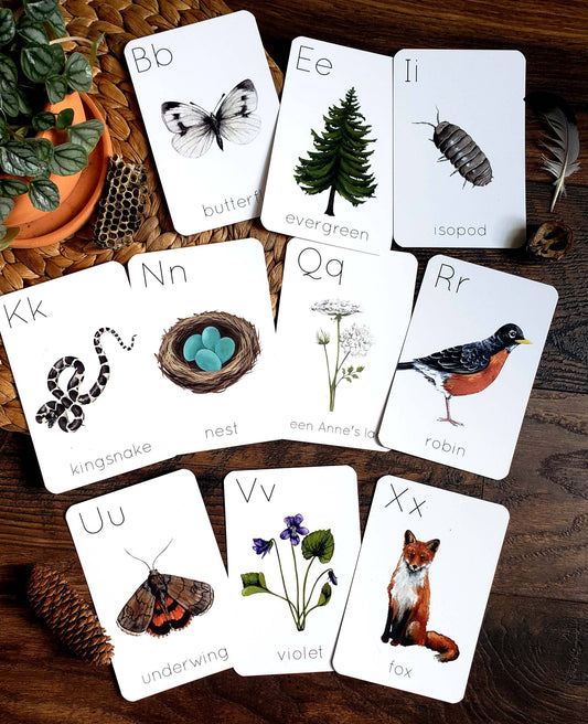 Backyard Nature Alphabet Flashcards, Set of 26 Cards