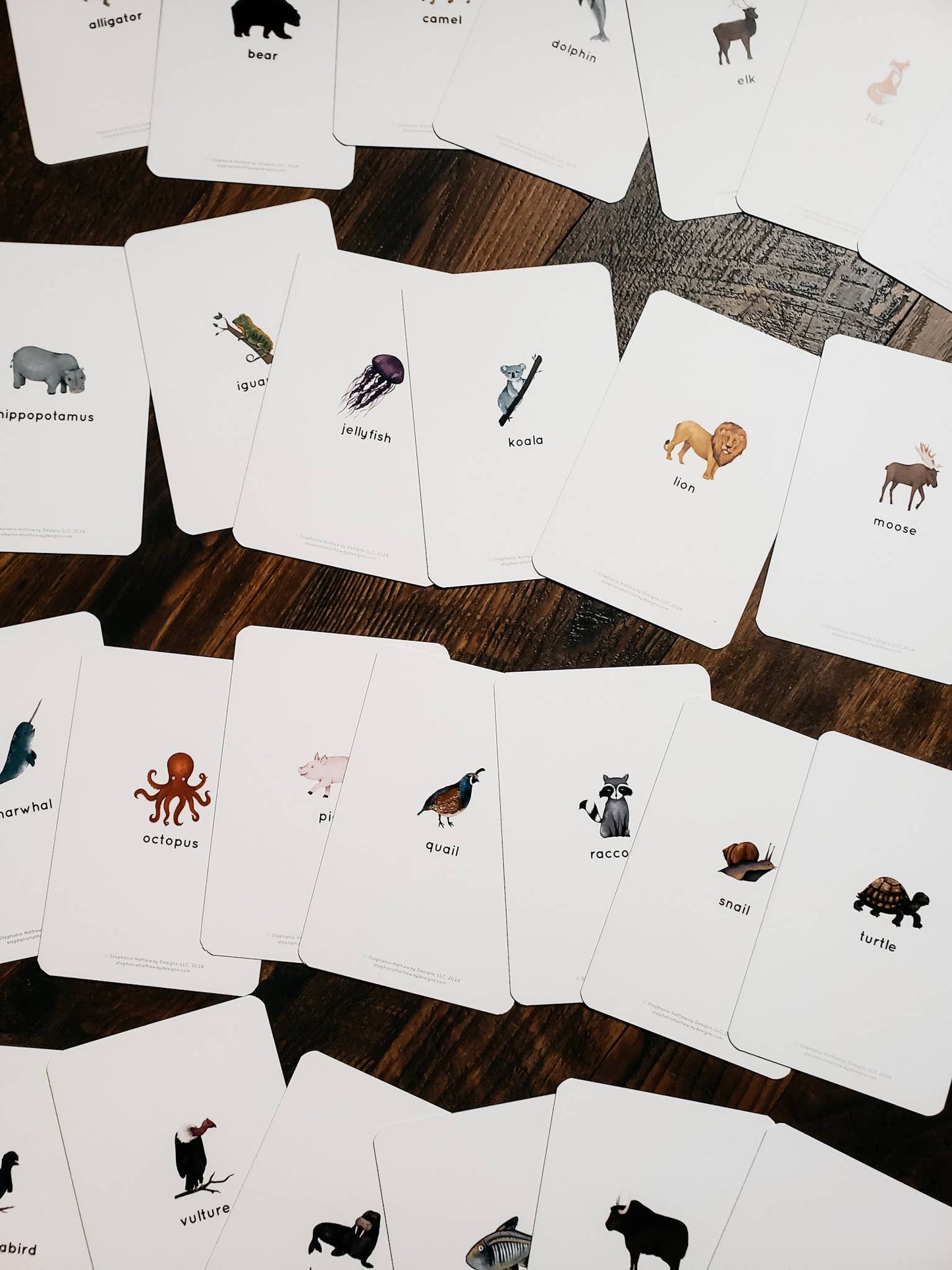 Animal Alphabet Flashcards, Set of 26 Cards