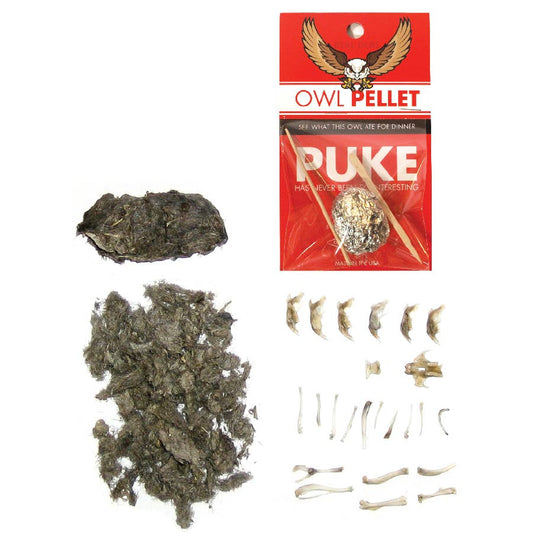 Owl Pellet | Compact Curiosities Dissection Kit