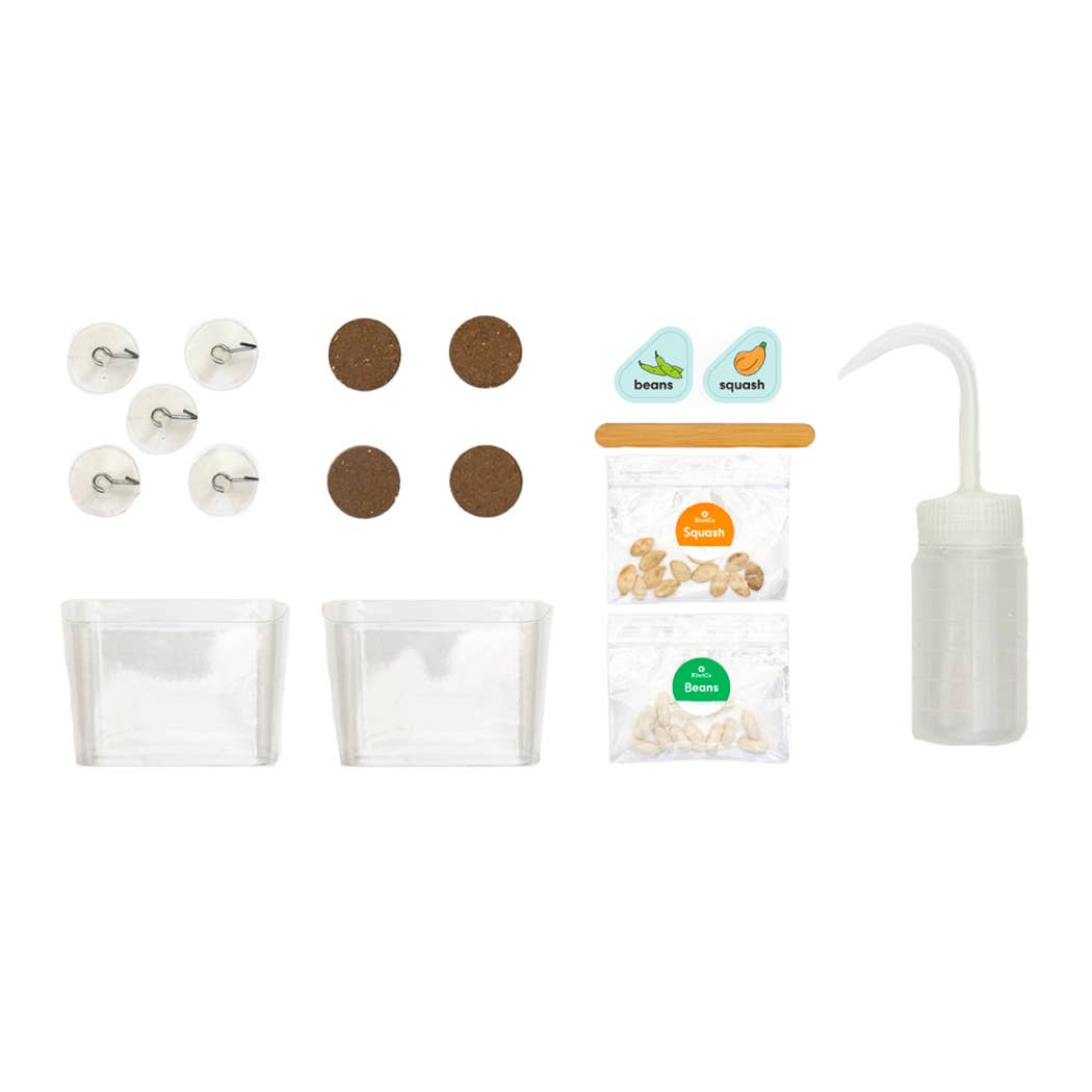 Window Garden DIY Growing Plant Kit for Kids