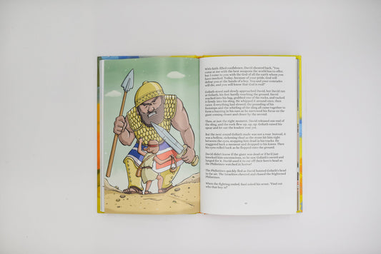 Shadows of the King: The Story of 1st & 2nd Samuel: Hardback Book