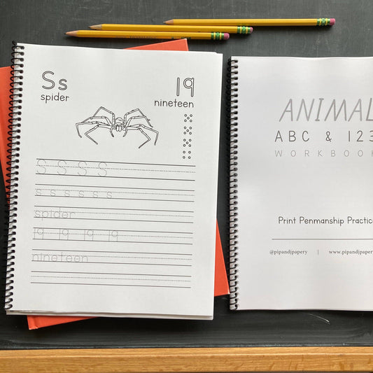 Animal ABC + 123 Workbook