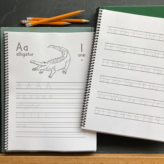 Animal ABC + 123 Workbook